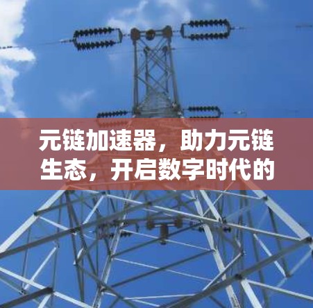 元链加速器，助力元链生态，开启数字时代的新可能