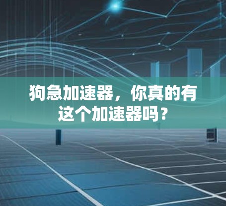 狗急加速器，你真的有这个加速器吗？