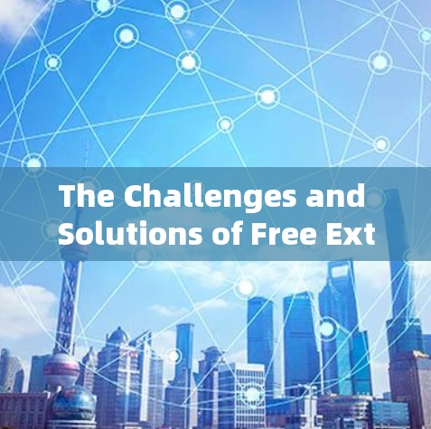 The Challenges and Solutions of Free External Network Accelerators