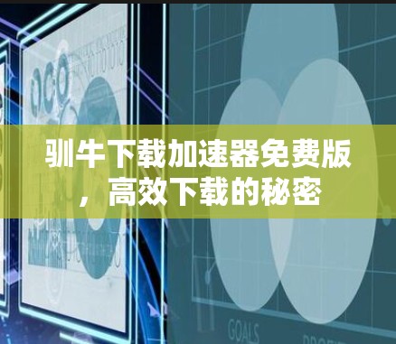 驯牛下载加速器免费版，高效下载的秘密