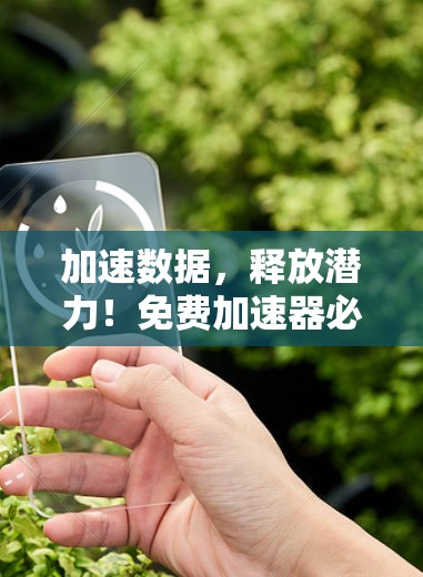 加速数据，释放潜力！免费加速器必看