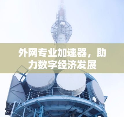 外网专业加速器,助力数字经济发展 外网专业加速器,助力数字经济发展