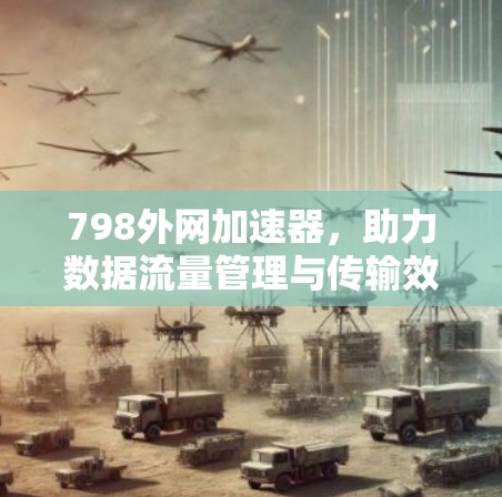 798外网加速器，助力数据流量管理与传输效率提升