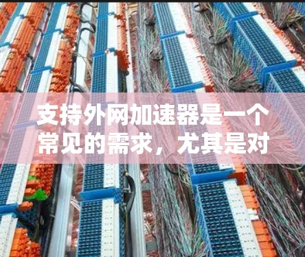 支持外网加速器是一个常见的需求，尤其是对于需要快速访问互联网资源的用户来说。以下是一步到位的支持外网加速器的指南